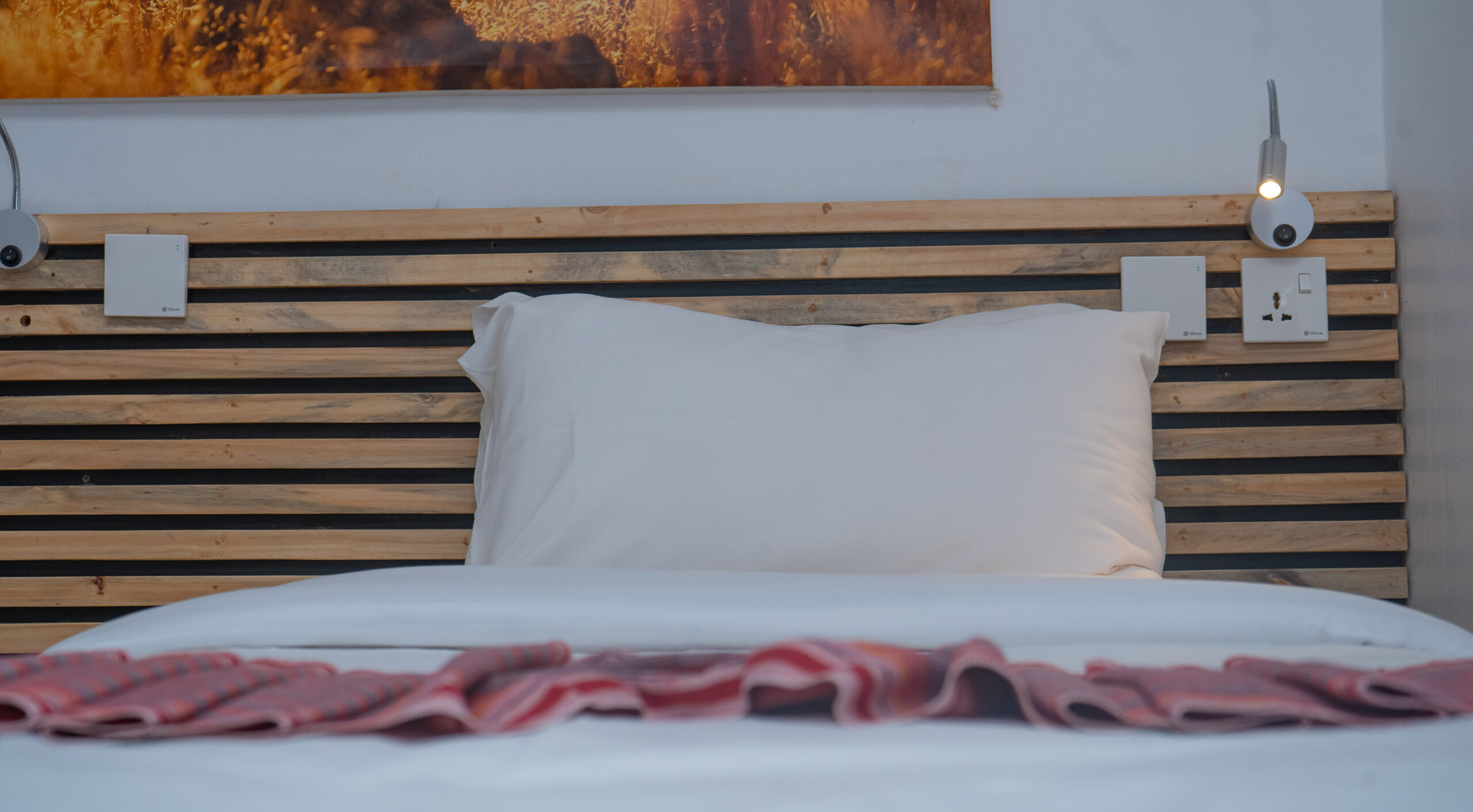 Single Room Interior